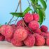 lychee-fruit-photography