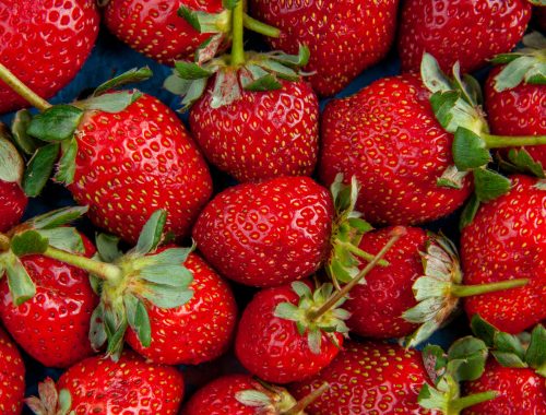 top-view-red-strawberries-blue-background